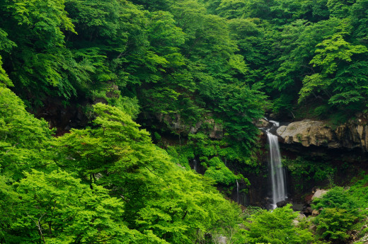 722176 (a): :4000x2649